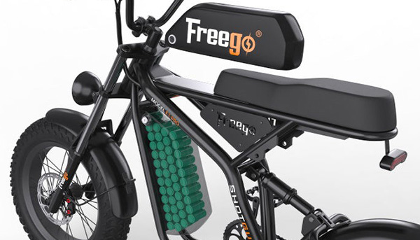 Freego F1 electric bike battery